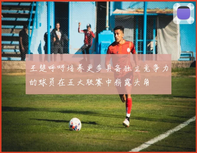 王楚呼吁培养更多具备独立竞争力的球员在五大联赛中崭露头角